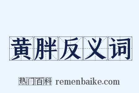 黄胖反义词是什么意思的图片